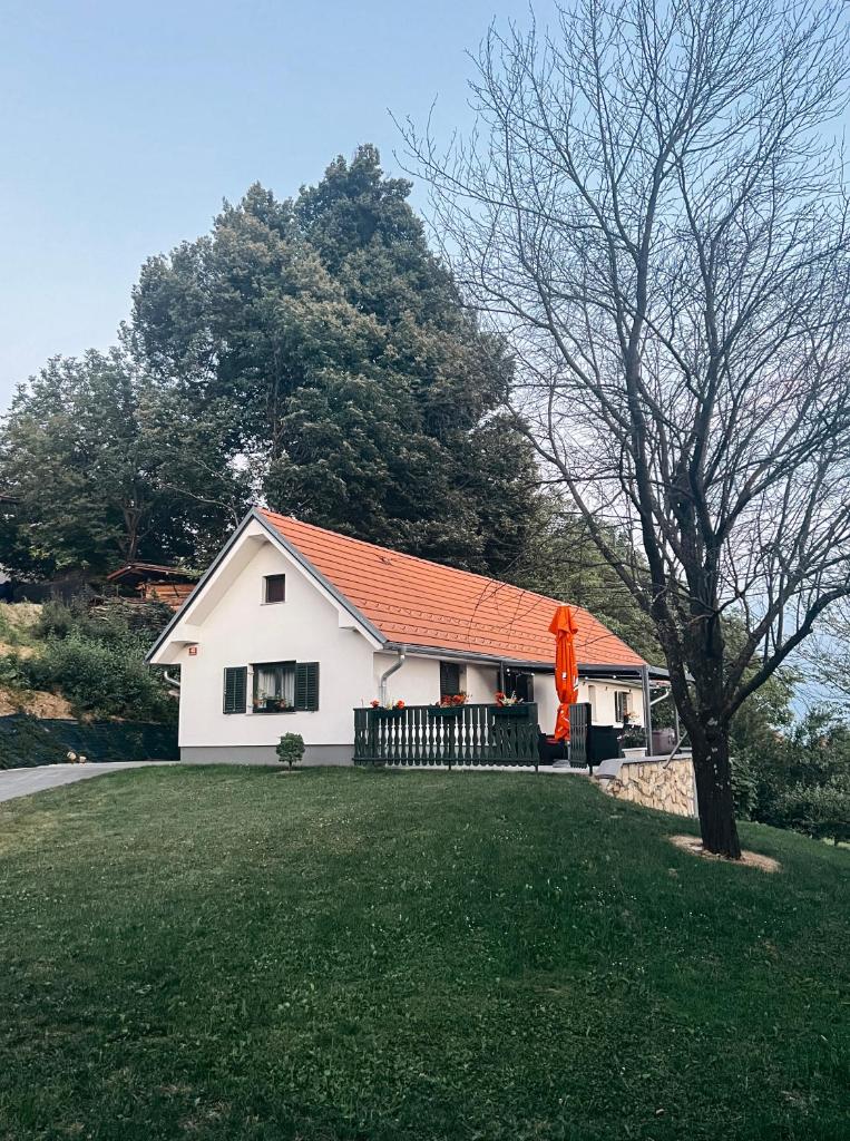 The Brengova house
