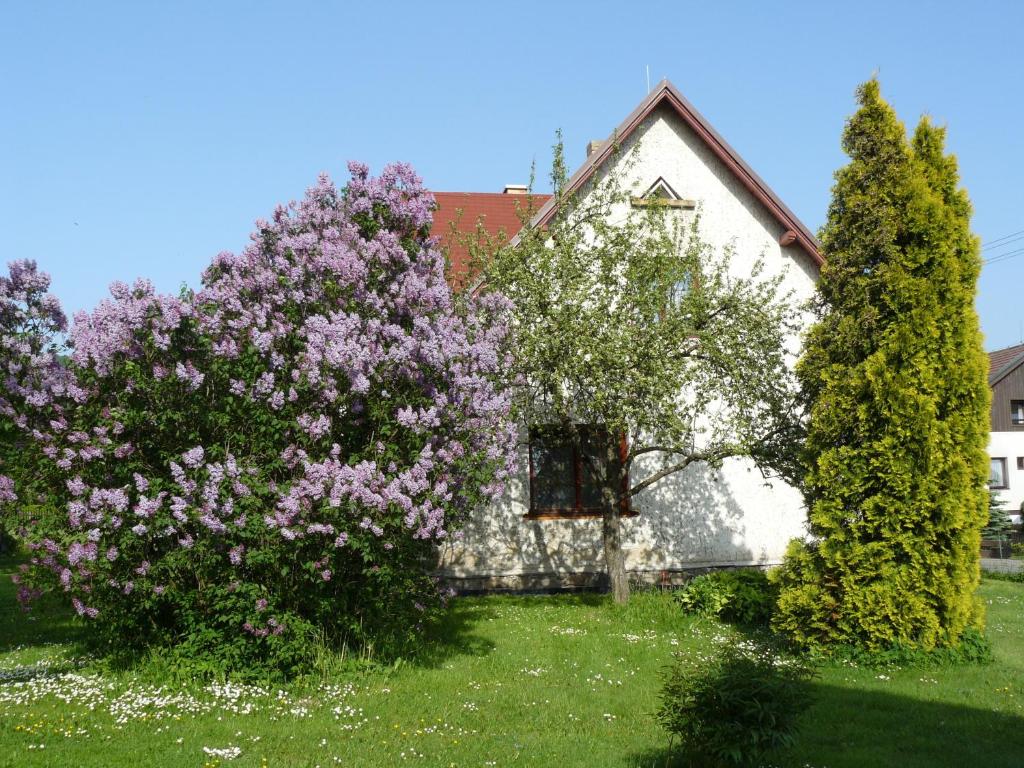 Apartmány Sněženka photo 3