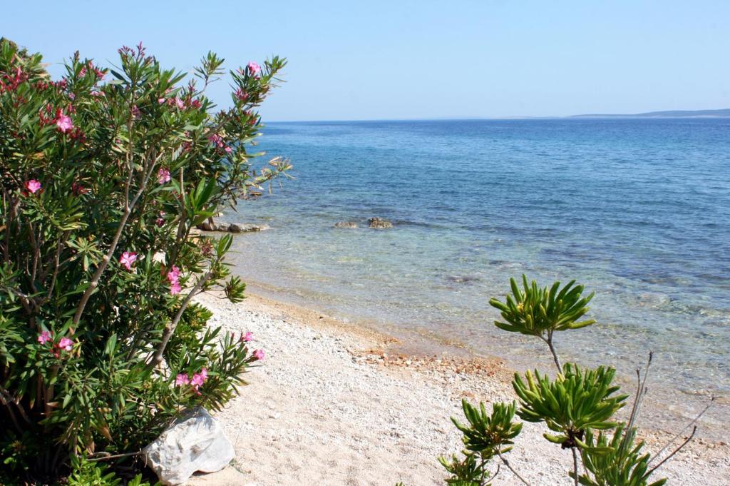 Apartments by the sea Mandre, Pag - 6518 photo 3