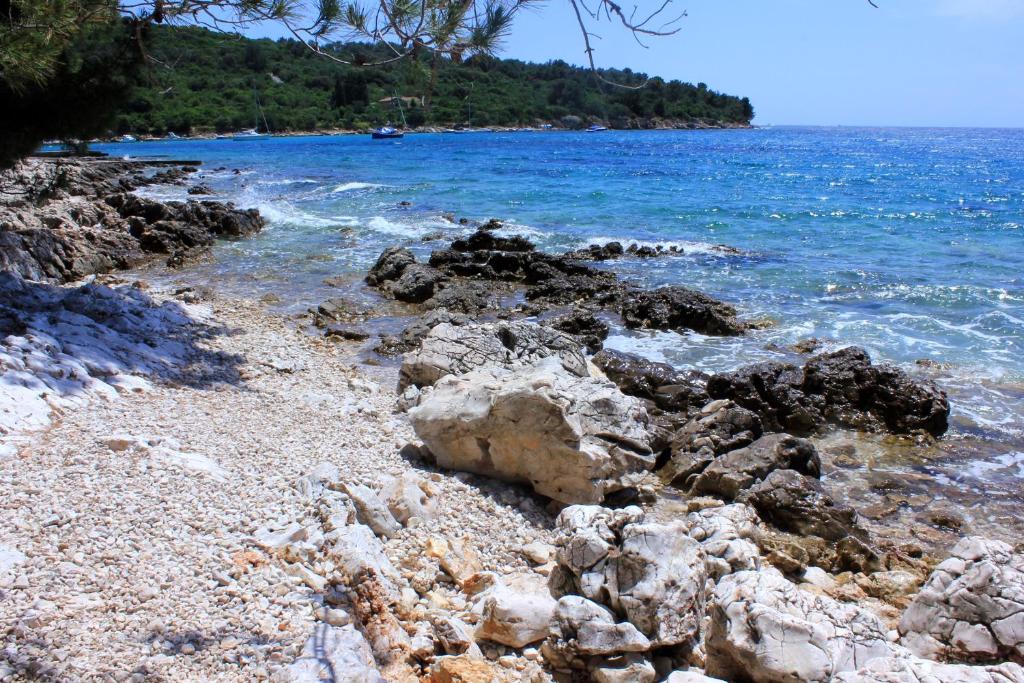Apartments by the sea Artatore, Losinj - 7935 photo 4