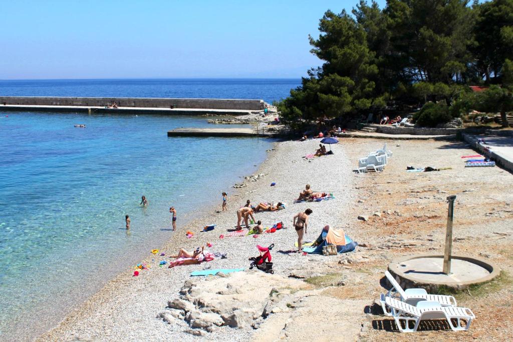 Apartments with a parking space Veli Losinj, Losinj - 11495 photo 2
