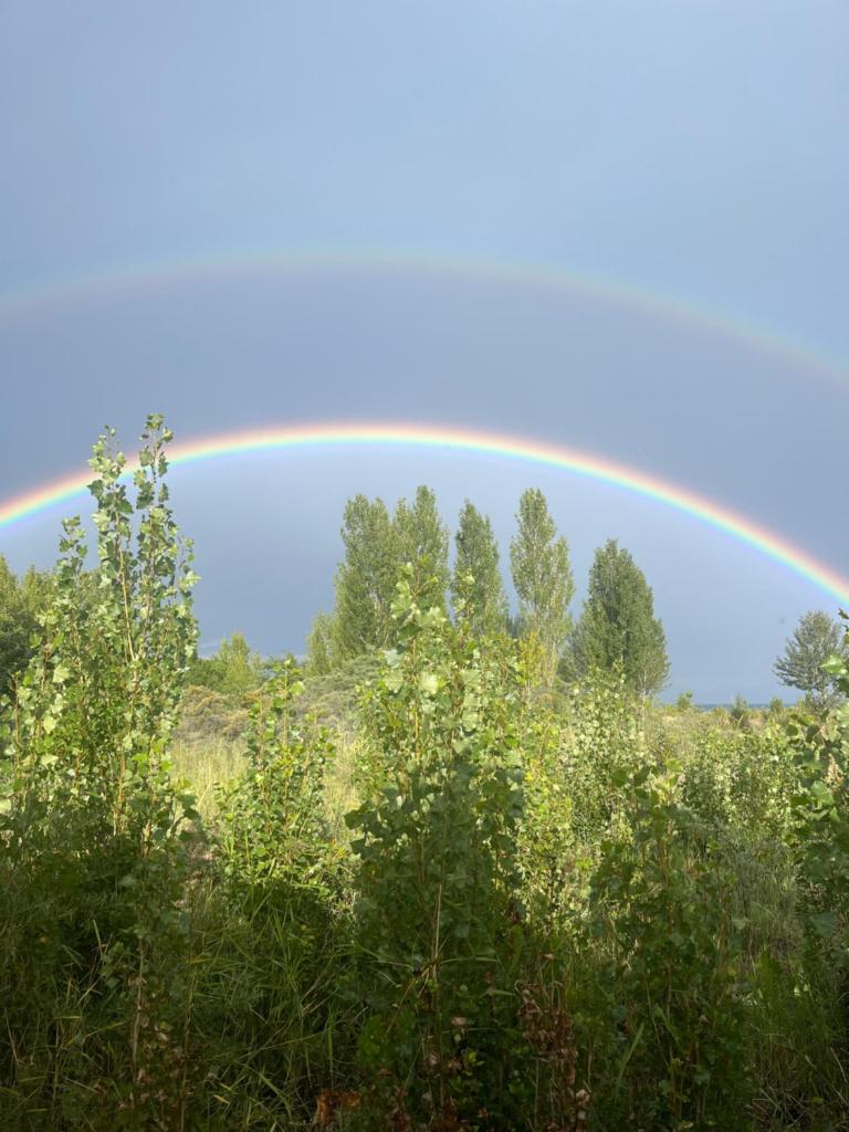 Берег 2 photo 1