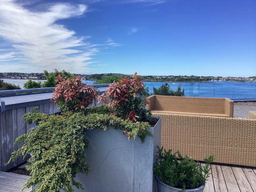 Villa Vassøy photo 3
