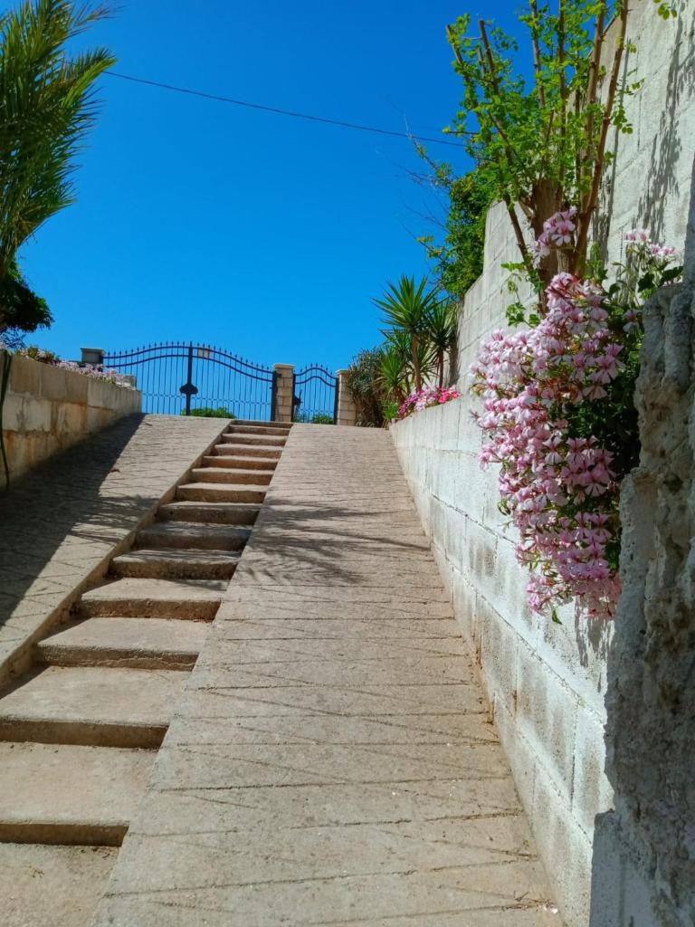 Villa 20 m.dal mare photo 2