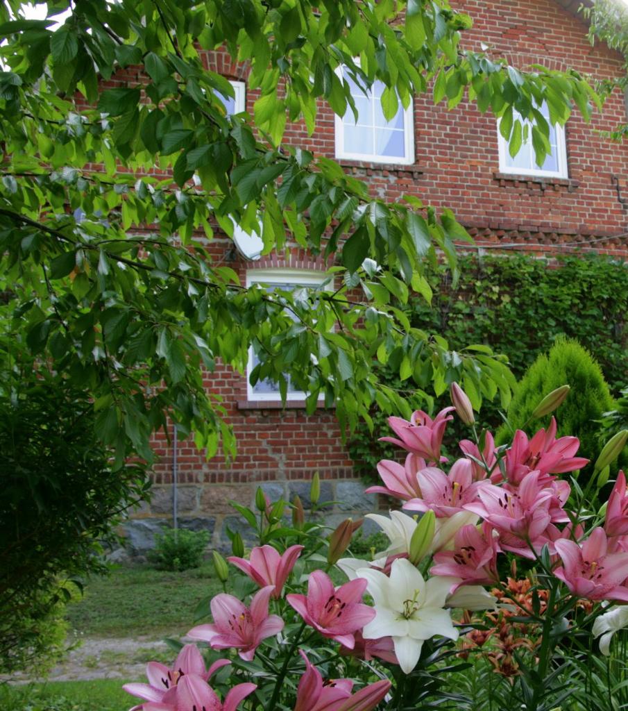 Agroturystyka Pod Dębem photo 1