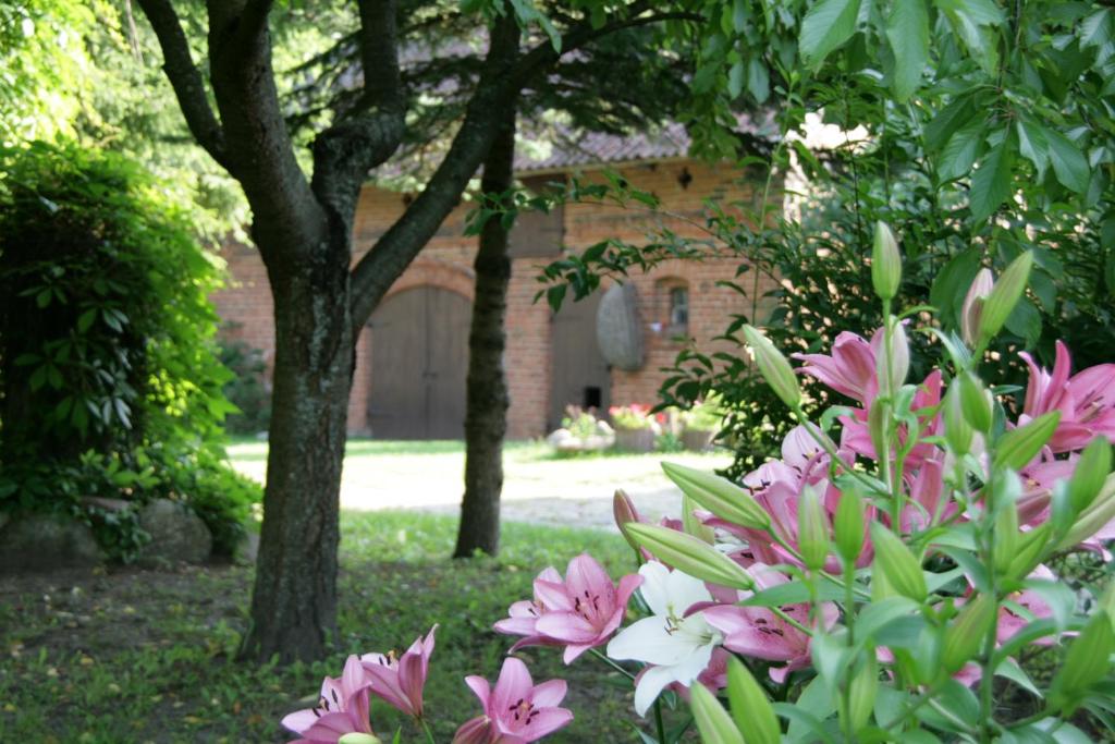 Agroturystyka Pod Dębem photo 4