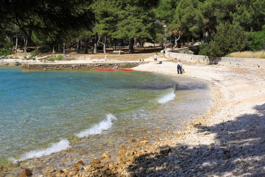 Apartments with a parking space Artatore, Losinj - 17591 photo 1