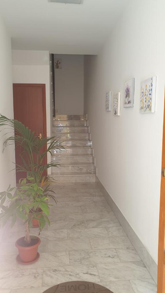 Casa Vacanze San Martino photo 2