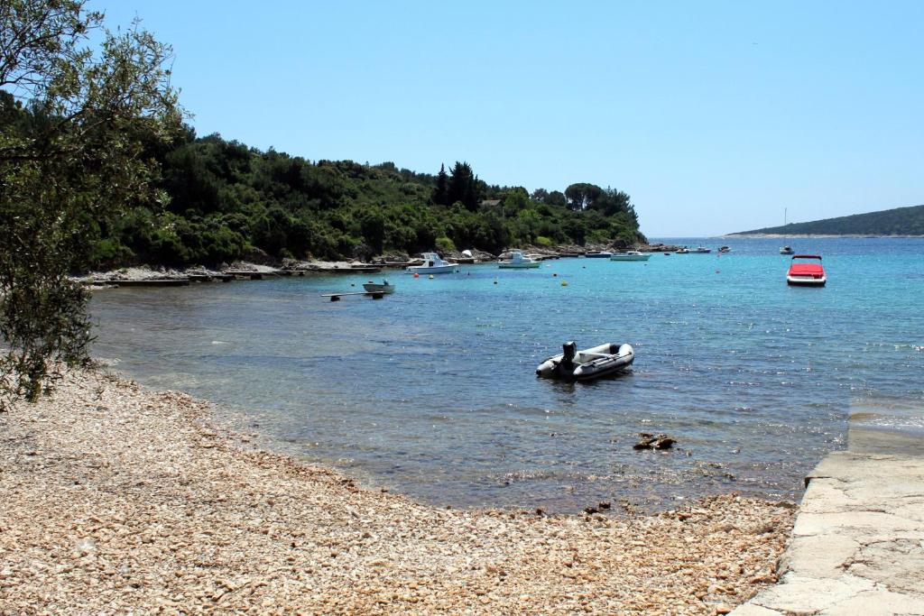 Seaside holiday house Artatore, Losinj - 8005 photo 4