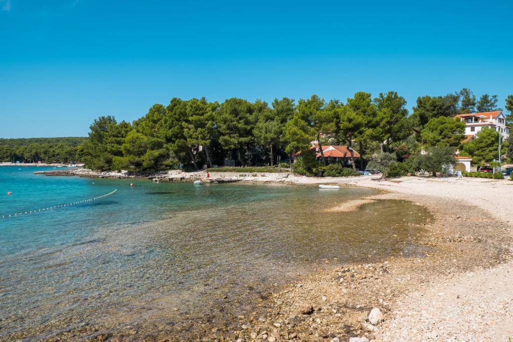Seaside holiday house Artatore, Losinj - 8005 photo 3