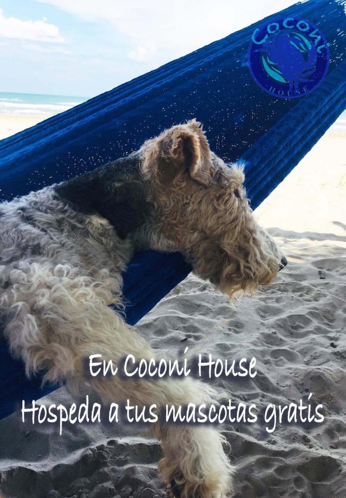 Coconi House photo 1
