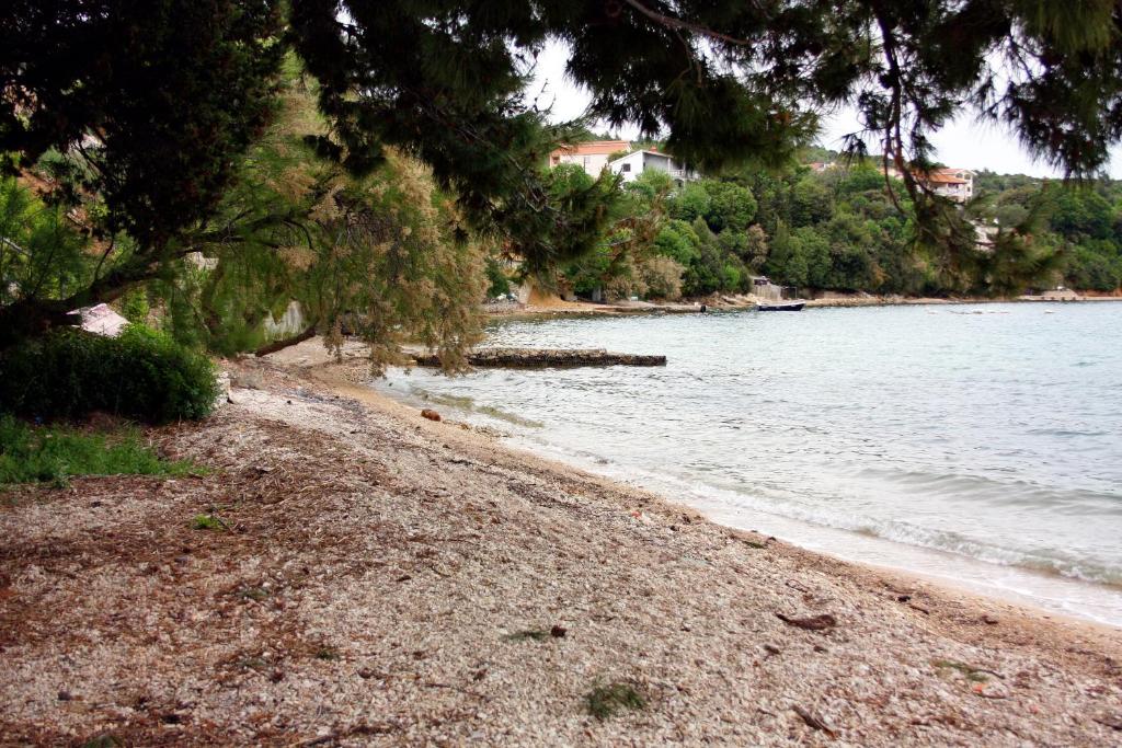 Apartments by the sea Posedarje, Novigrad - 6190 photo 4