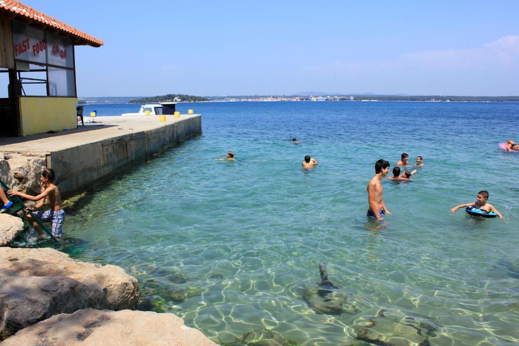 Apartments by the sea Tkon, Pasman - 8455 photo 3