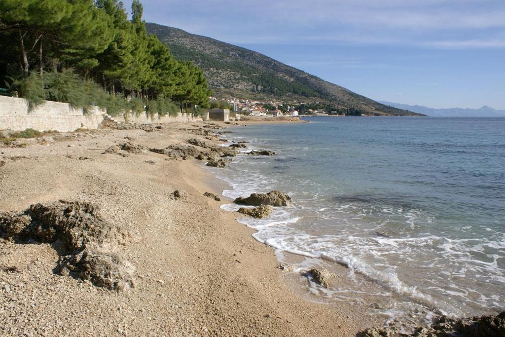 Apartments and rooms with parking space Bol, Brac - 2873 photo 3
