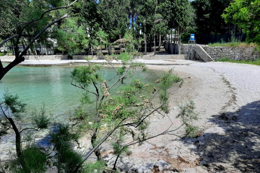 Family friendly apartments with a swimming pool Supetar, Brac - 16774 photo 3