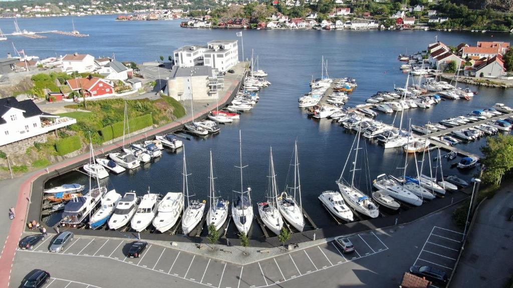 Nice apartment close to the sea with parking and garden photo 4