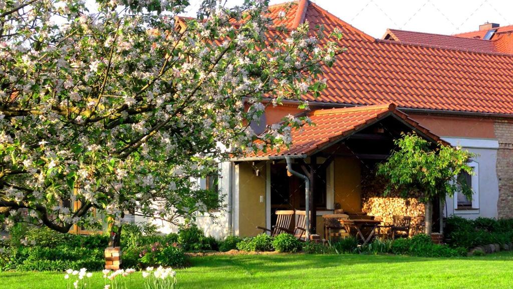 JANISCHs Fewo im Spreewald photo 1