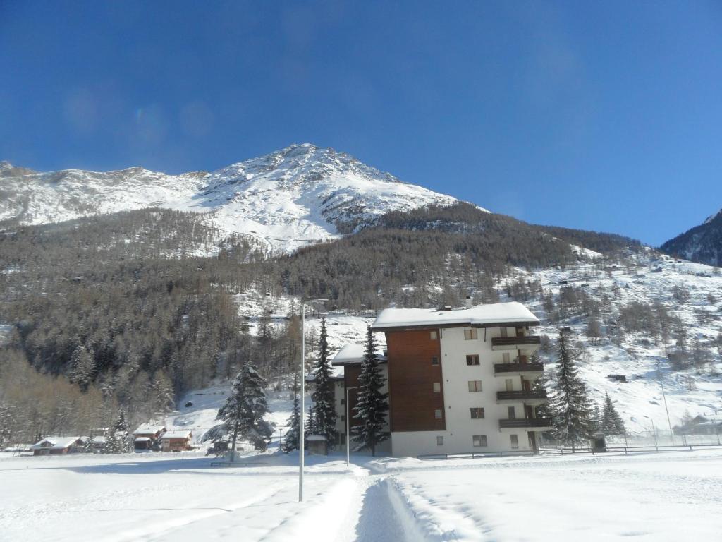 Appartements Monte Rosa photo 3