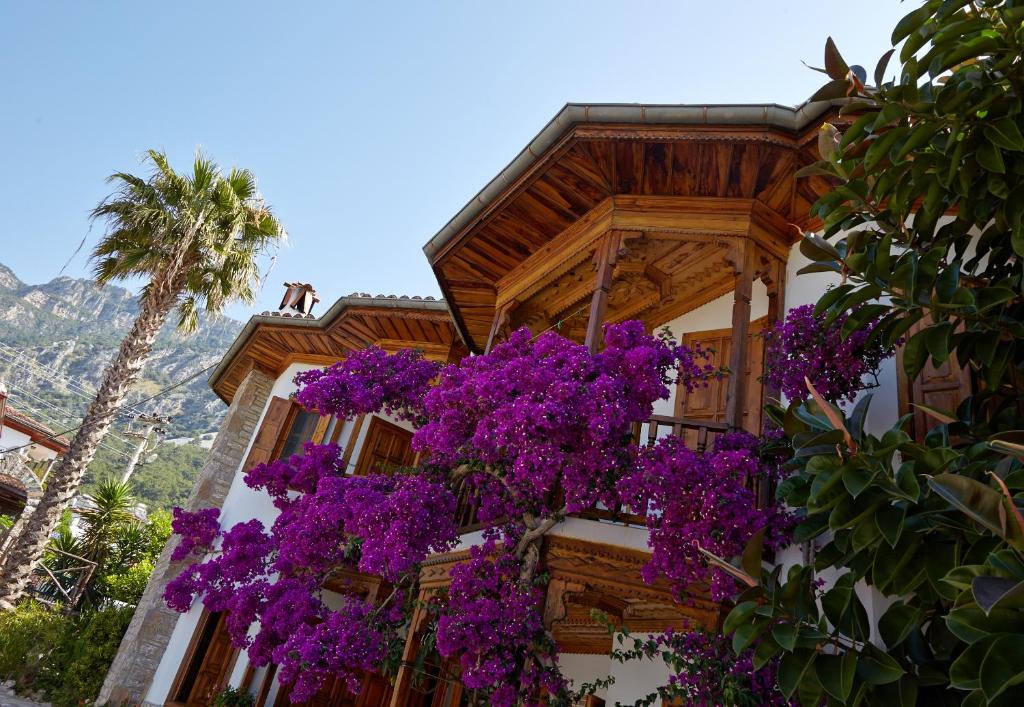 Villa Vali photo 3