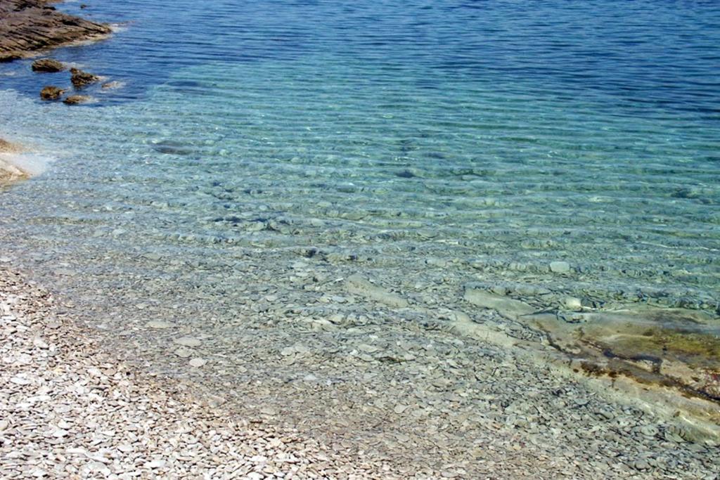 Seaside holiday house Sucuraj, Hvar - 5718 photo 4