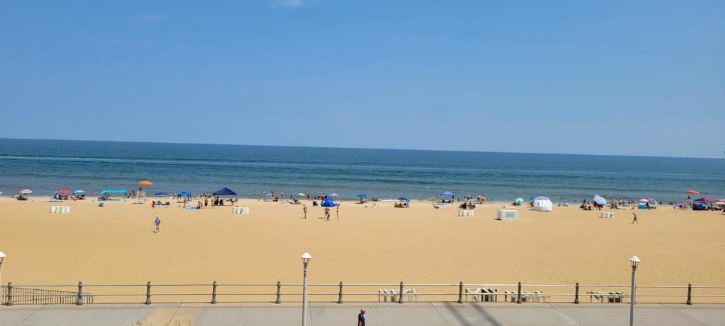 Oceanfront beach, sky, & dolphins