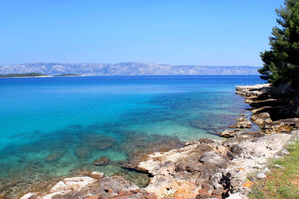 Seaside holiday house Cove Grebisce, Hvar - 3375 photo 3