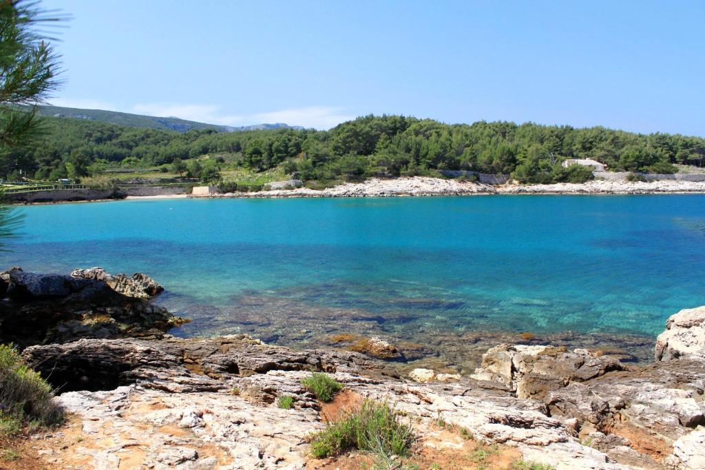 Seaside holiday house Cove Grebisce, Hvar - 3375 photo 4