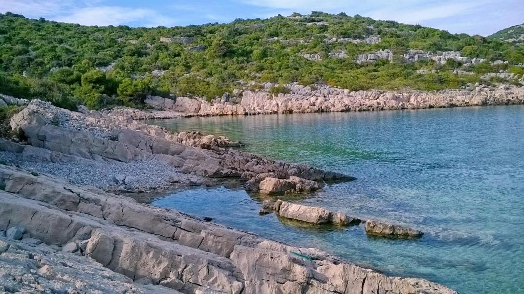 Family friendly house with a swimming pool Cove Triluke, Pasman - 13577 photo 3