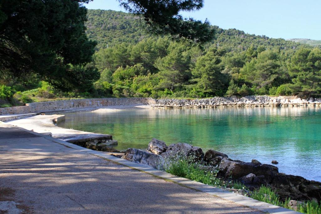 Apartments with a swimming pool Stari Grad, Hvar - 4015 photo 3