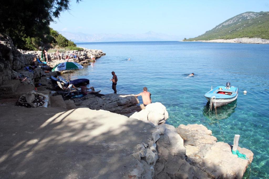Apartments by the sea Cove Zarace - Gdinj, Hvar - 4598 photo 3