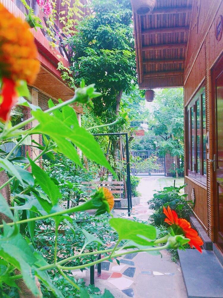 Tam Coc Amanda Villas