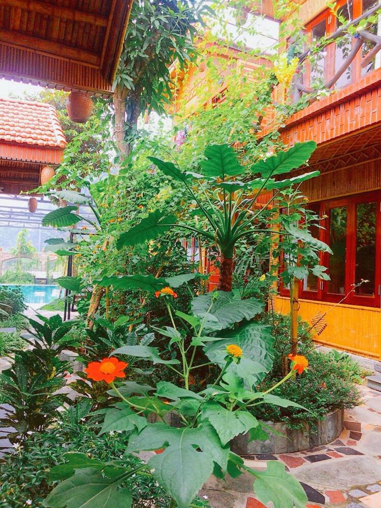 Tam Coc Amanda Villas