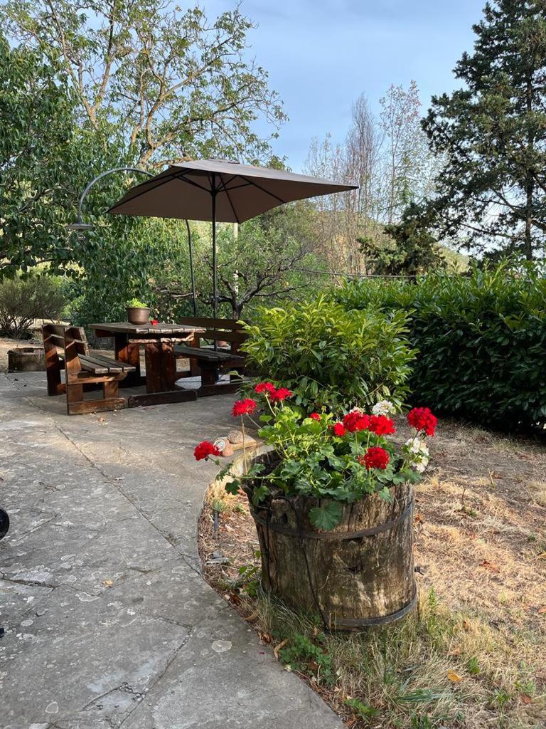 Casa Lastri photo 4