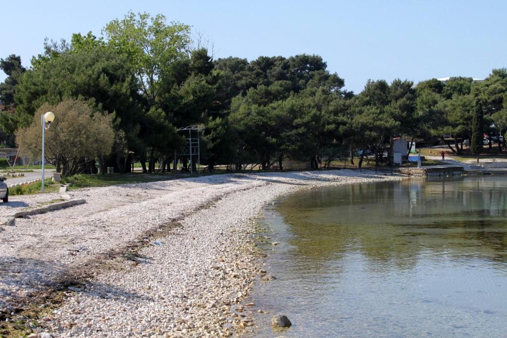 Apartments by the sea Petrcane, Zadar - 16828 photo 3