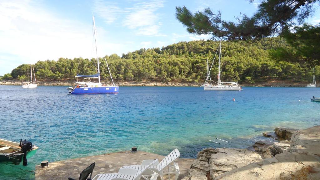 Apartments by the sea Cove Gornja Krusica, Solta - 16376 photo 3