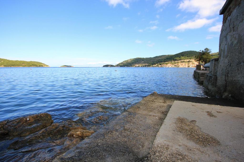 Apartments by the sea Vis - 2459 photo 4