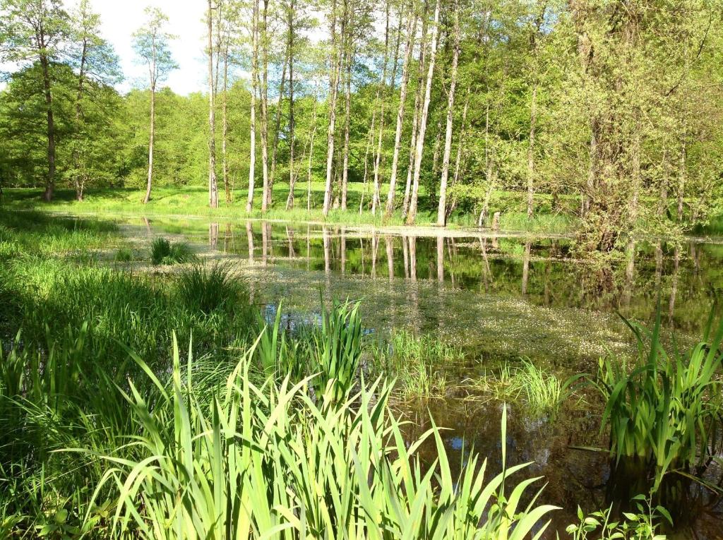 Goldschmiedsmühle photo 4