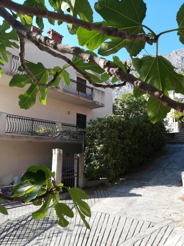Apartments by the sea Lokva Rogoznica, Omis - 4821 photo 2