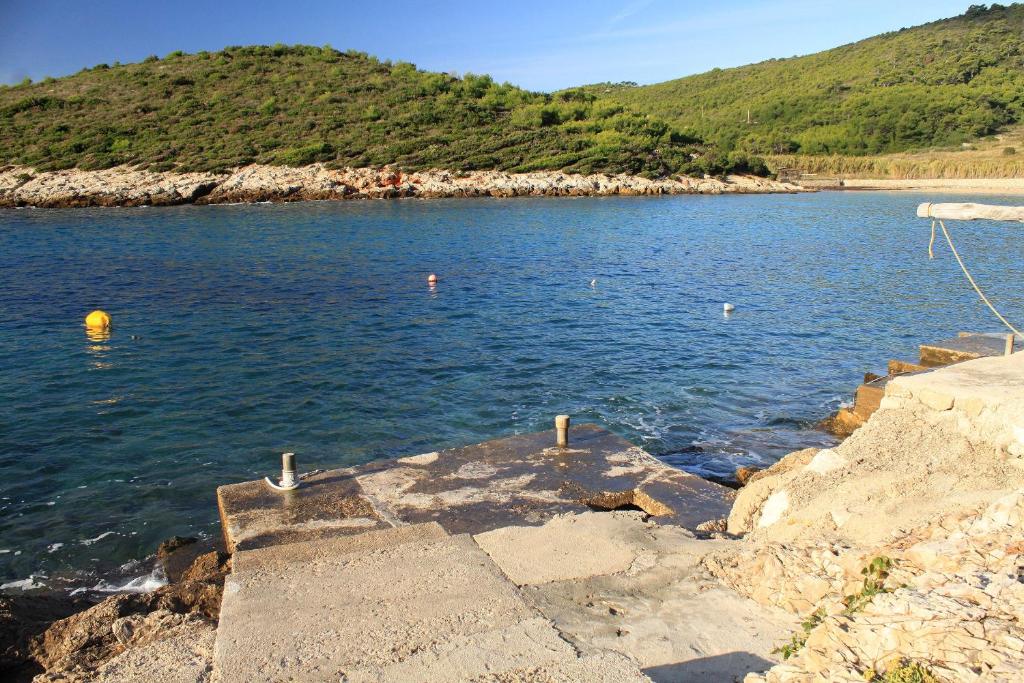 Apartments by the sea Milna, Vis - 8913 photo 3