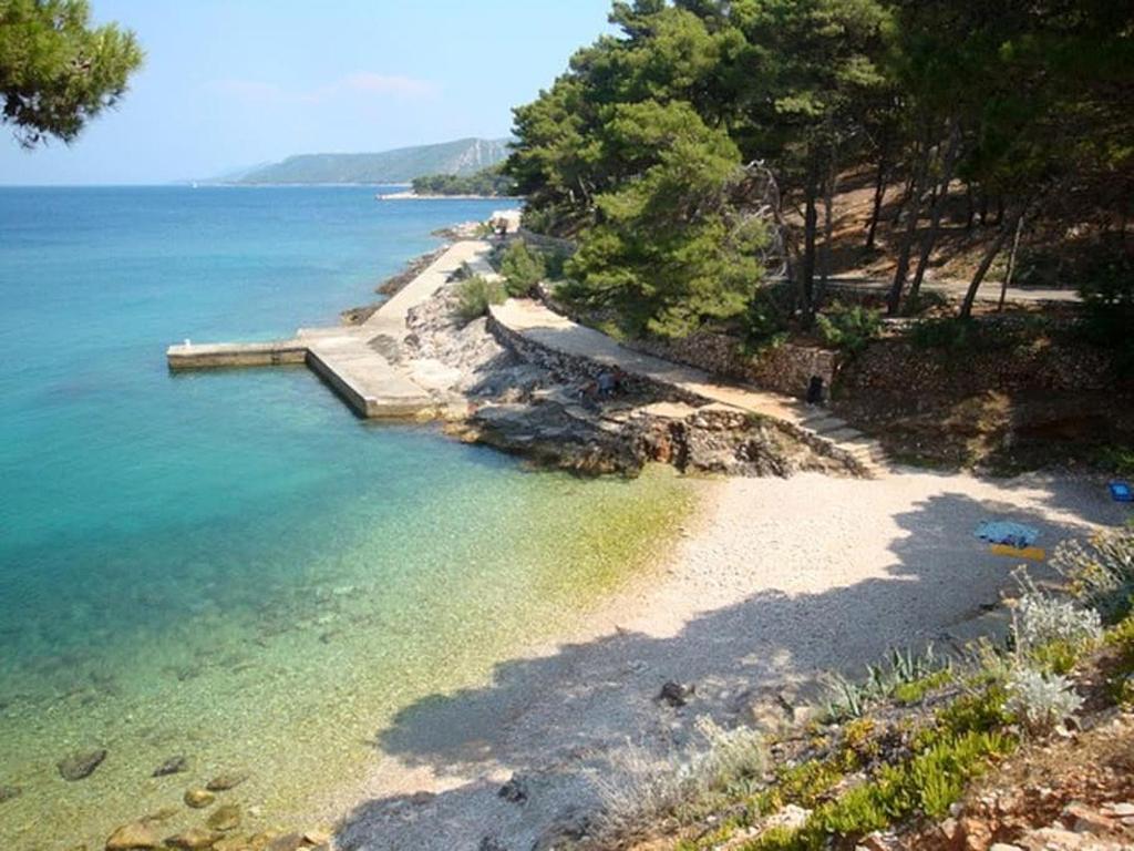 Holiday house with a parking space Pitve, Hvar - 17397 photo 3