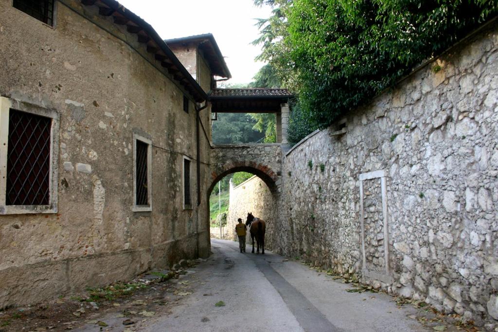 La Quiete Bed & Breakfast photo 3