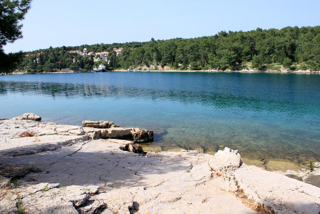 Apartments by the sea Vrboska (Hvar) - 104 photo 3