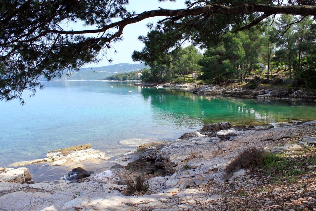 Seaside holiday house Vrboska (Hvar) - 13813 photo 3