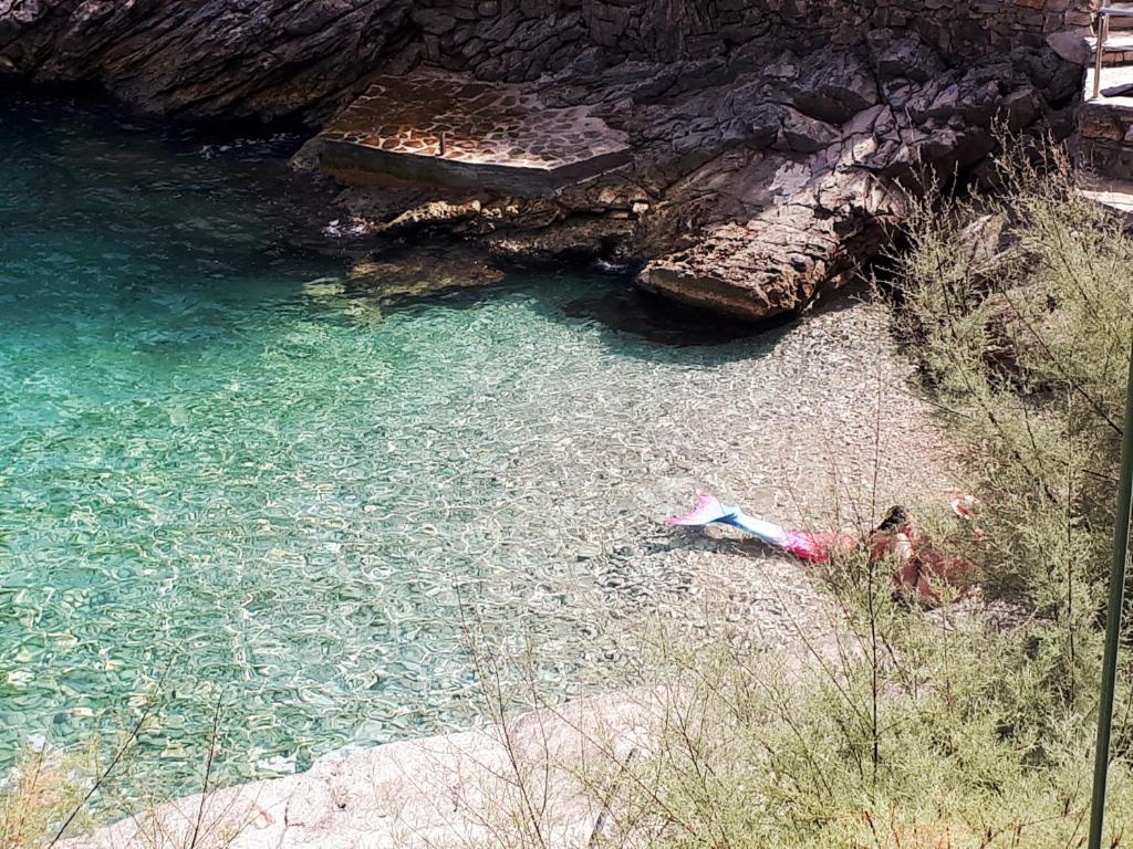 Seaside secluded apartments Cove Vele Gacice, Hvar - 14255 photo 1