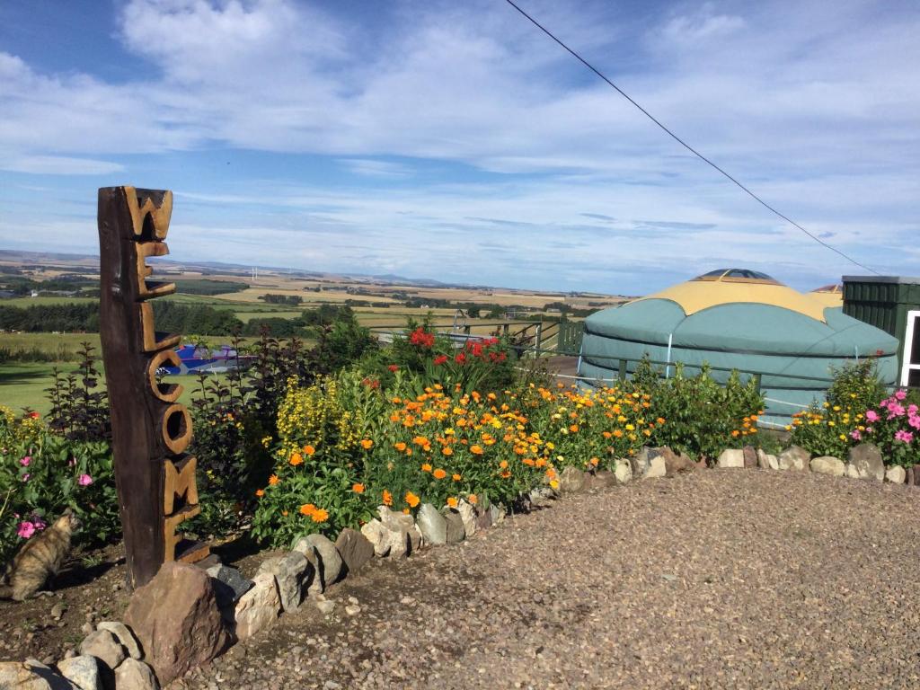 Colourful Mongolian Yurt enjoy a new experience photo 3