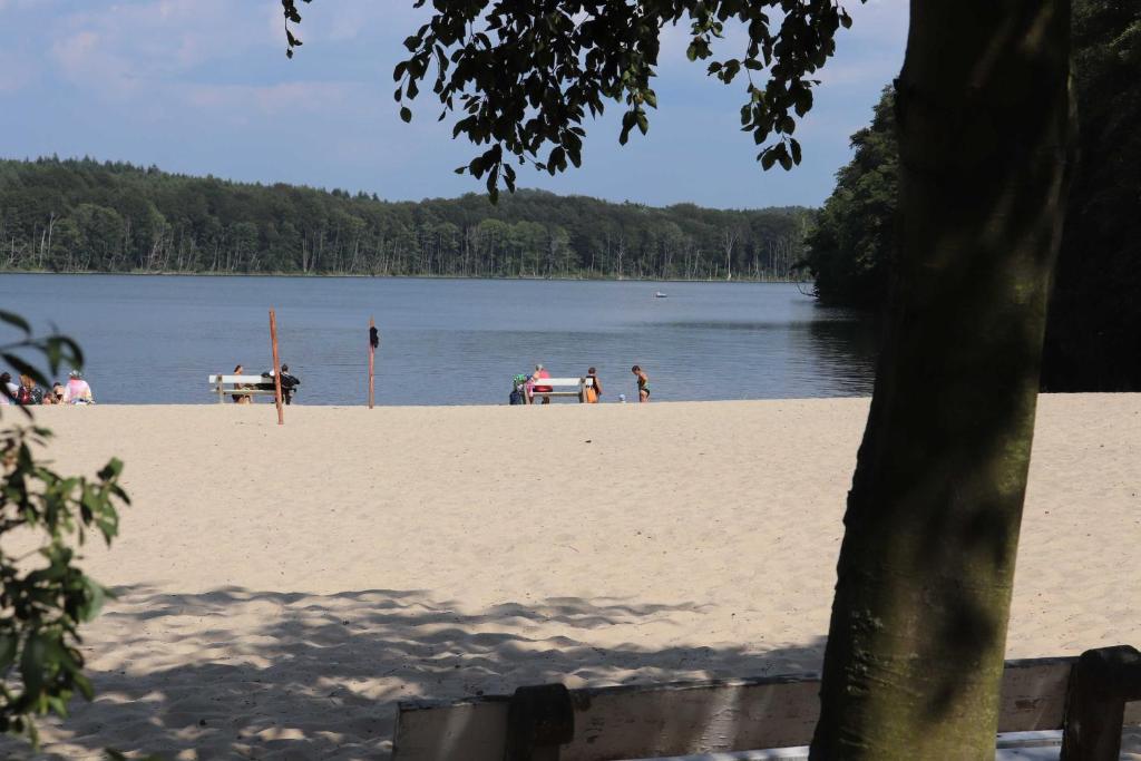 Feriendoppelhaushälfte "An Seen und Meer 03" photo 4