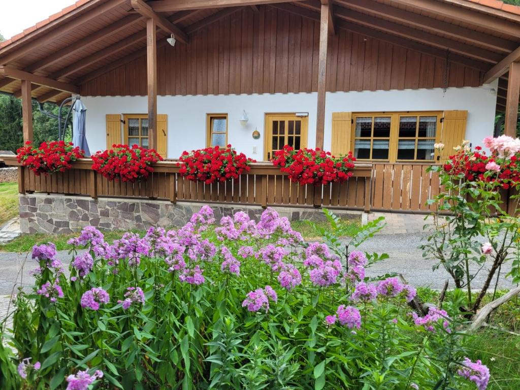 Familienferienhof Kroner photo 2