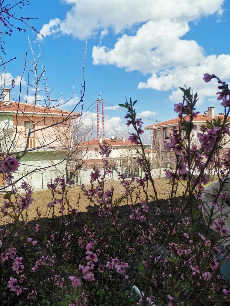 1915 Çanakkale Köprü manzarali 700m2 bahceli mustakil ev photo 4