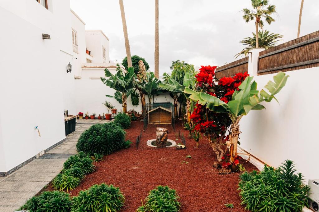 La Palmera - Fabulosa Casa, LANZAROTE, Playa Honda photo 4