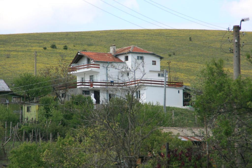 Villa Sanaan photo 3